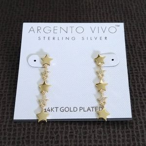 Argento Vivo Cascading⛲ Stars⭐ Earrings